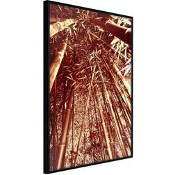 Arkiio Affisch Tall Bamboos [Poster] 40x60 Poster